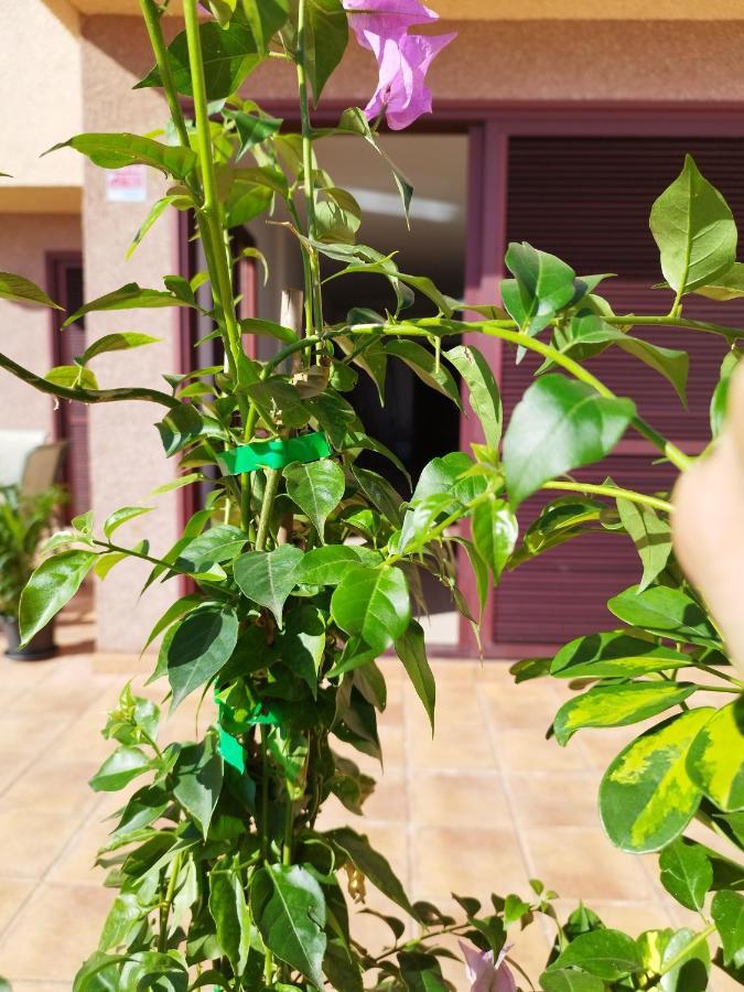 Vivienda Vacacional Compartida Radazul B&B 외부 사진