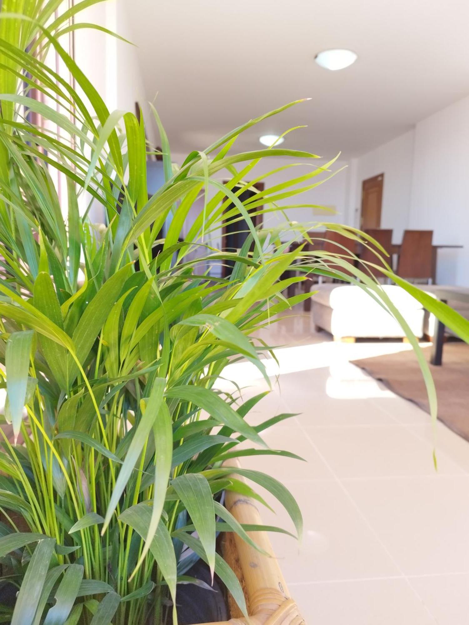 Vivienda Vacacional Compartida Radazul B&B 외부 사진